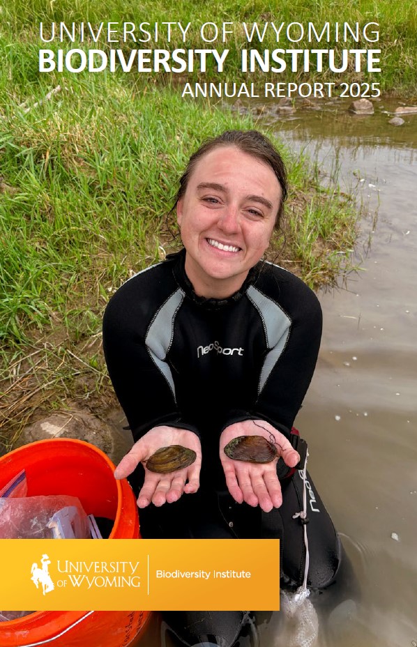 Annual report cover image 2025.jpg