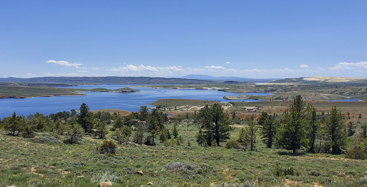 2025 Wyoming BioBlitz