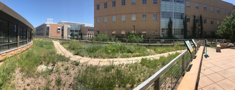 A picture of the gardens outside of the Biodiversity Institute 